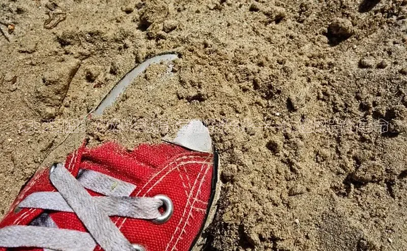 未来潮流：2025年新款运动鞋设计——女性风尚的革命